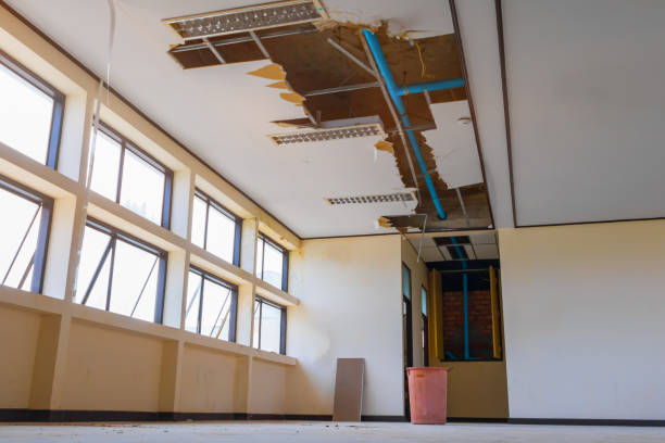 Best Basement water damage restoration  in Ninety Six, SC