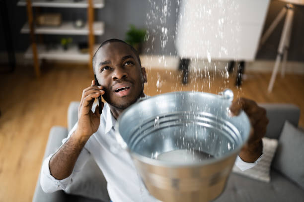 Best Water damage restoration company  in Ninety Six, SC