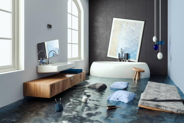 Best Professional water damage repair  in Ninety Six, SC