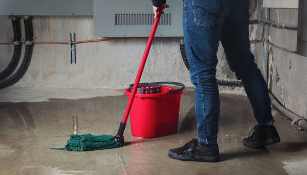 Best Water damage restoration near me  in Ninety Six, SC