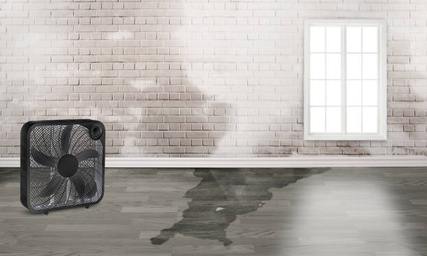 Best Fire Damage Restoration  in Ninety Six, SC