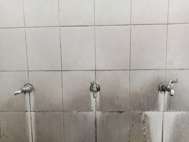  Ninety Six, SC Water damage restoration Pros