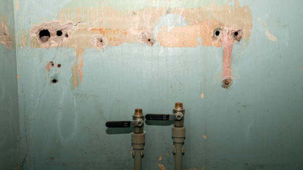 Best Local water damage restoration  in Ninety Six, SC