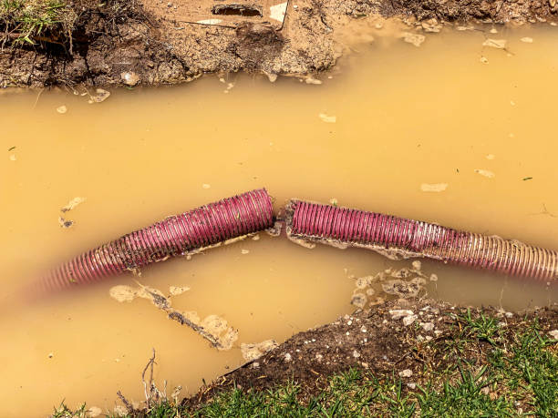 Best Sewage cleanup and water damage restoration  in Ninety Six, SC