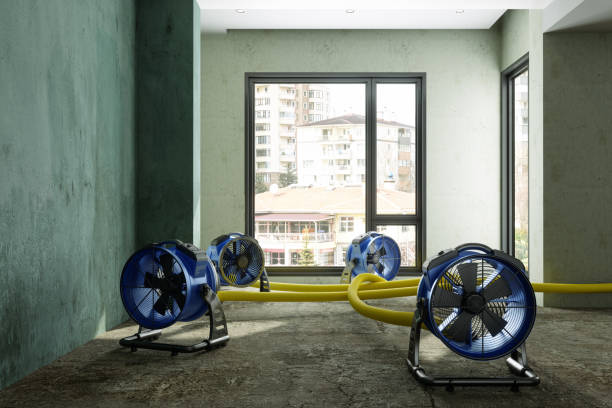 Best Water damage cleanup near me  in Ninety Six, SC