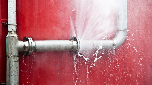 Best Basement water damage restoration  in Ninety Six, SC