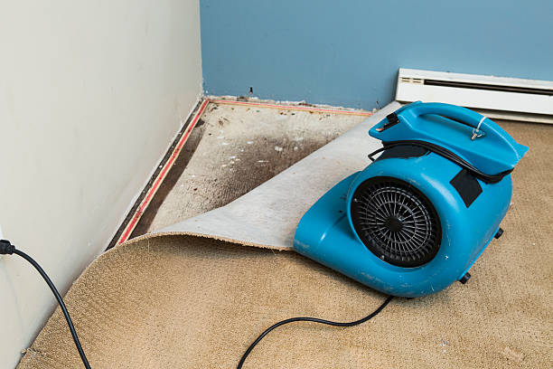 Trusted Ninety Six, SC Water damage restoration Experts